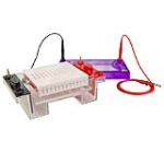 Bộ điện di ngang multiSUB Midi 96