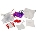Hệ thống lai Western Blot
