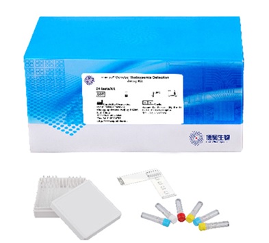 Bộ phát hiện đột biến gen