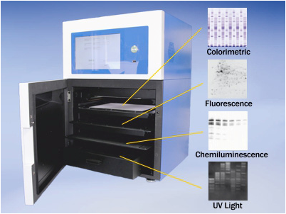 Hệ thống chụp ảnh Gel Western Blot