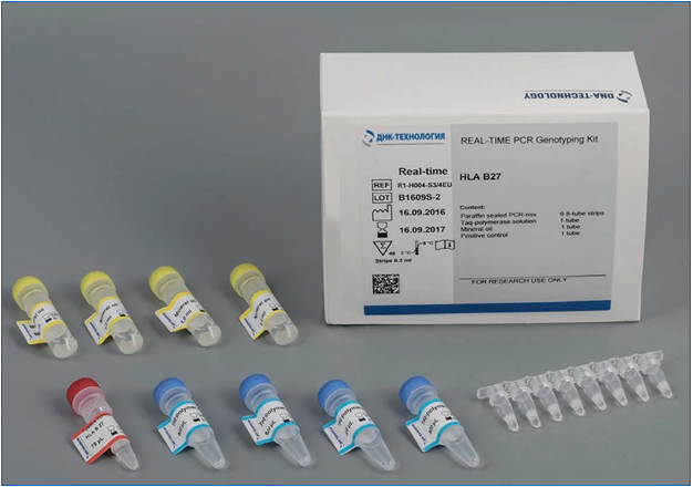 AZF Microdeletions REAL-TIME PCR Genotyping Kit